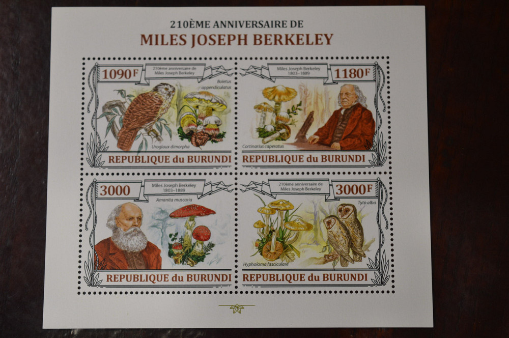 Бурунди. Марки. Блок. (А-39) Полтава - изображение 1