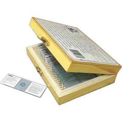 Набор микропрепаратов Konus Зоологія Найпростіші 10 шт (4979) Винница