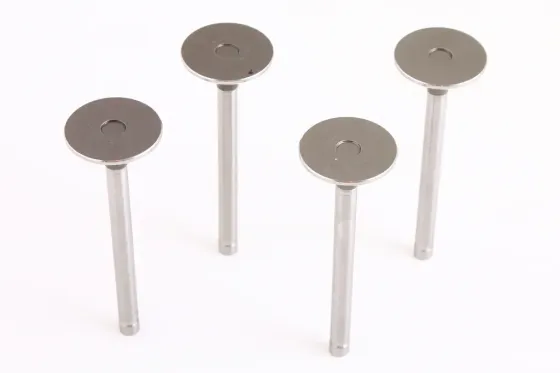 Клапана ГАЗ-2410 AMP выпускные (4 шт.) Винница