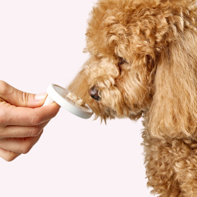 Лакомство для собак Delickcious говядина с добавлением сыра и спаржи 4х15 г (4820269145429) Винница - изображение 8