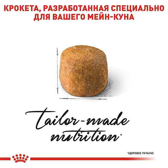 Royal Canin Maine Coon Adult (Роял Канін Мейн Кун Едалт) сухий корм для котів породи мейн-кун від 15 місяців Запоріжжя