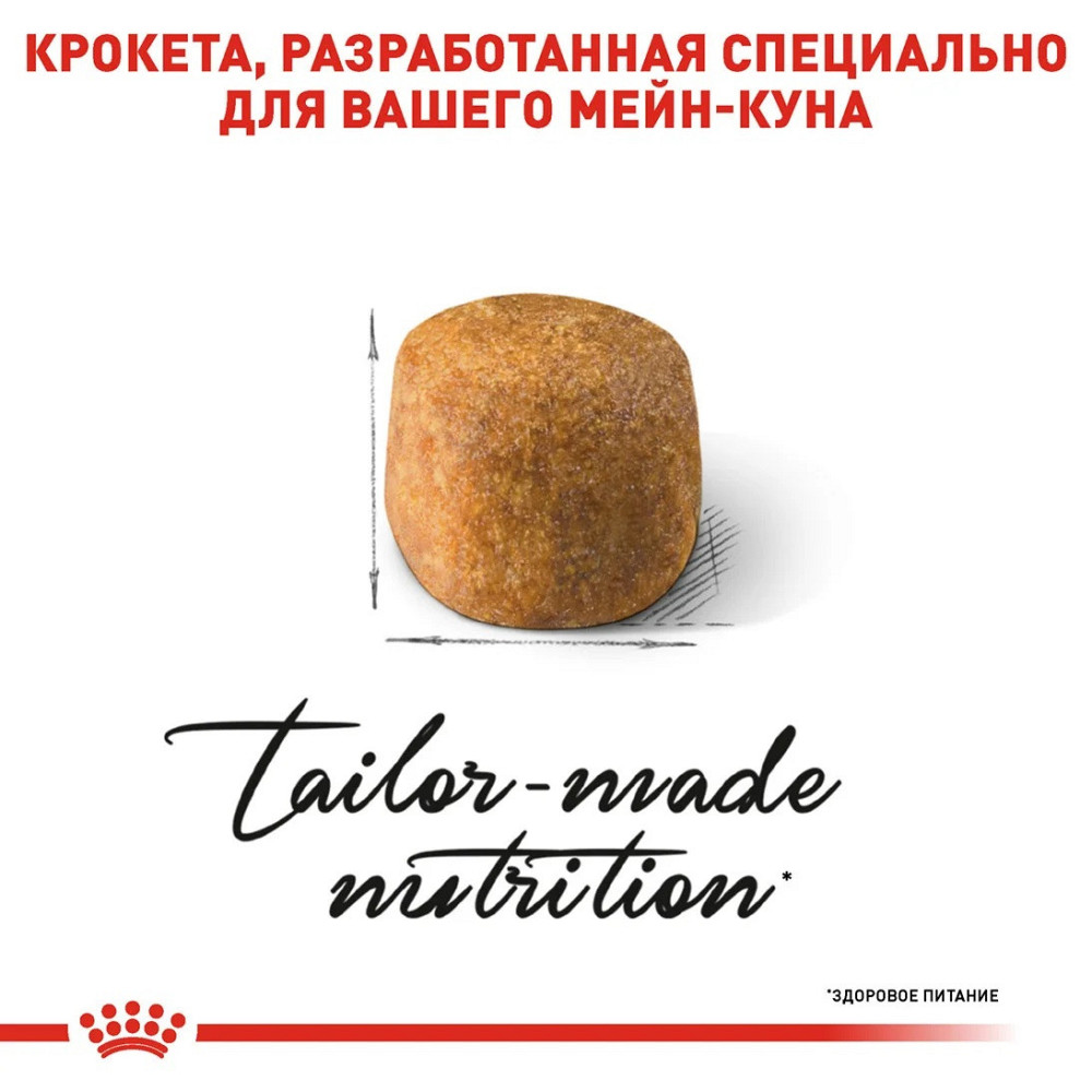 Royal Canin Maine Coon Adult (Роял Канін Мейн Кун Едалт) сухий корм для котів породи мейн-кун від 15 місяців Запоріжжя - фото 4