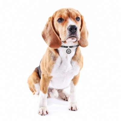 Шнурок для адресника WAUDOG Smart ID S 25-45 см черный (60381) Винница - изображение 2