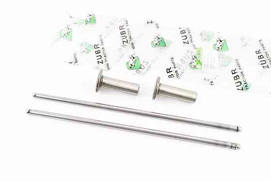 Штовхач (H-58; D-34; d-16) + штанга (H-29;D-8) к-кт 4 шт ZS1100 Киев