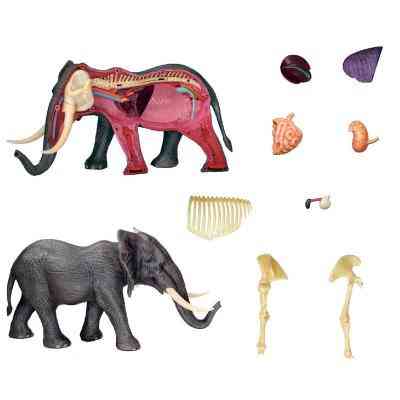 Пазл 4D Master Об&apos;ємна анатомічна модель Слон (FM-622037) Вінниця