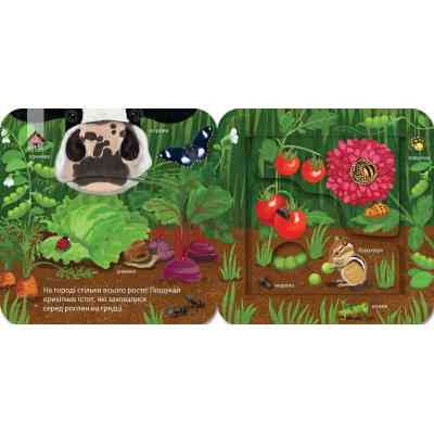 Книга Хто живе на фермі? Зазирни у віконечко - Джей Ґарнетт КСД (9786171502833) Вінниця