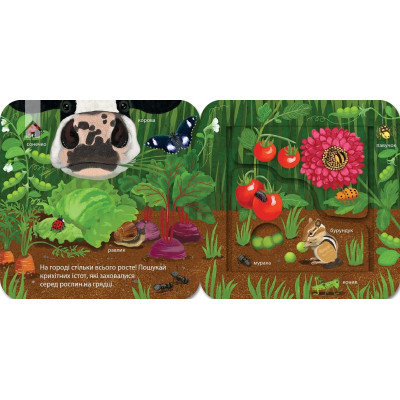 Книга Хто живе на фермі? Зазирни у віконечко - Джей Ґарнетт КСД (9786171502833) Вінниця - фото 2