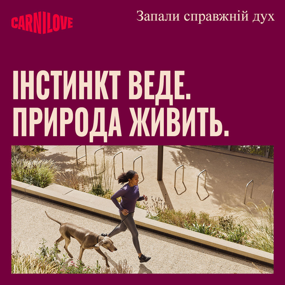 Корм сухий Carnilove Active Lamb & Wild Boar для собак ягня і дикий кабан 1,5 кг Київ - фото 8