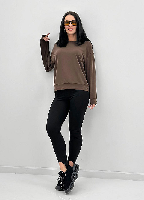 Базовий світшот з двонитки "Kaplan" оптом | Норма і батал 46-48, Шоколадний Київ - фото 1