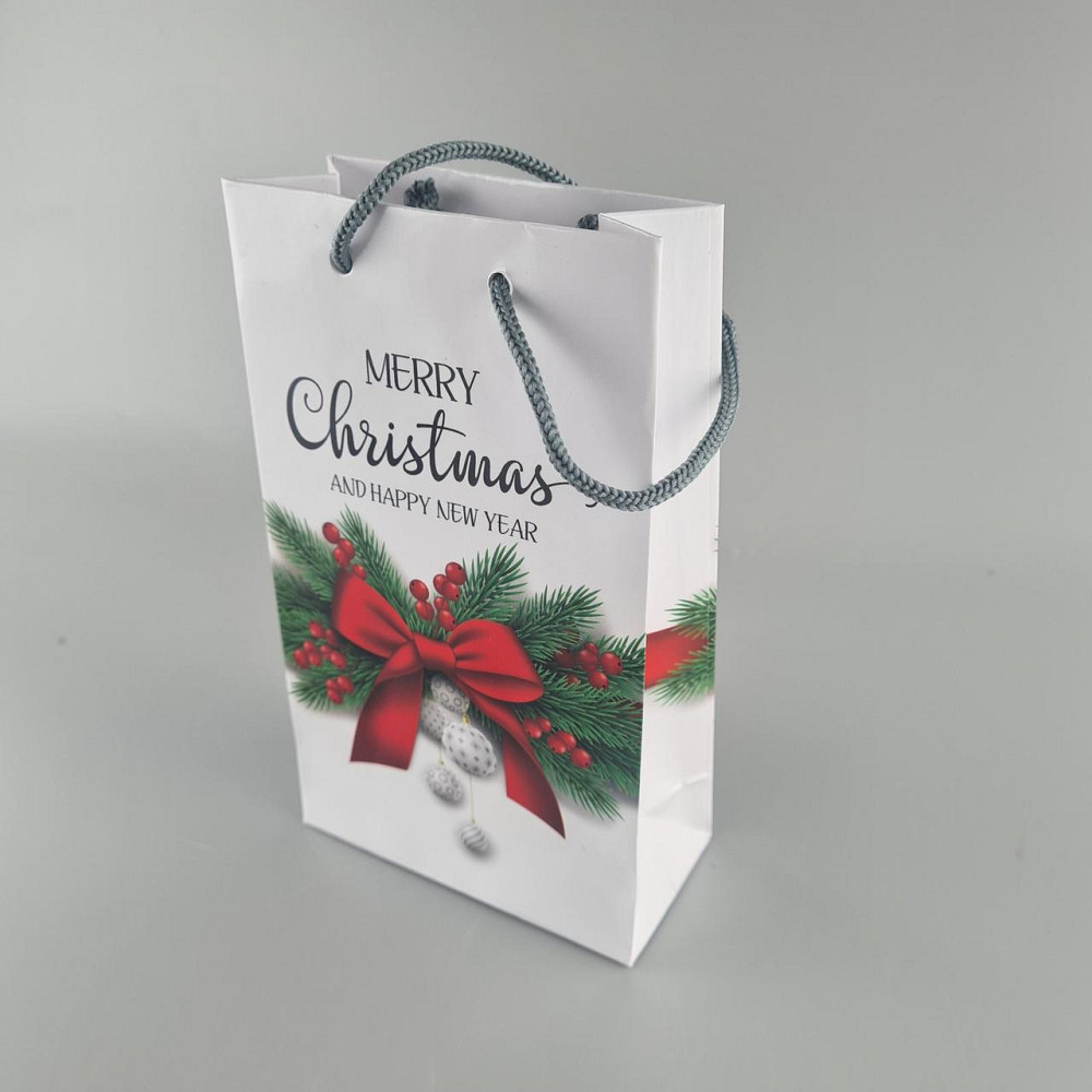 Пакеты новогодние ,бумажные ,подарочные , Малый 11/18/5 -004 (12 шт) Харьков - изображение 3