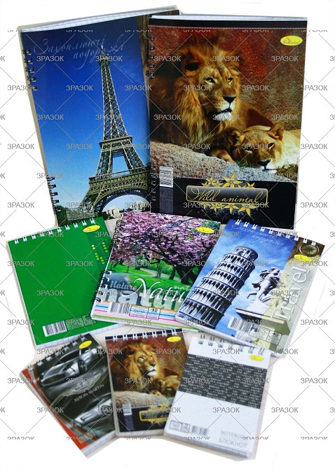 Блокнот "Апельсин" A5, 80 арк., лаковка, пружина збоку Б-Л5-80, шт Київ - фото 1