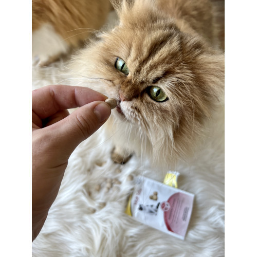 Вітаміни GimCat Every Day Malt Tabs для котів таблетки для виведення шерсті 40 г Київ - фото 4