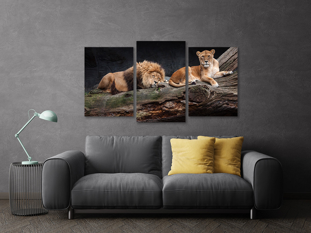 Модульна картина у вітальню/ спальню Пара Левев Art-563_3 100x150 см Київ - фото 3