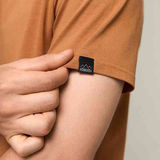 Чоловіча футболка бавовняна Pobedov Peremoga койот Київ