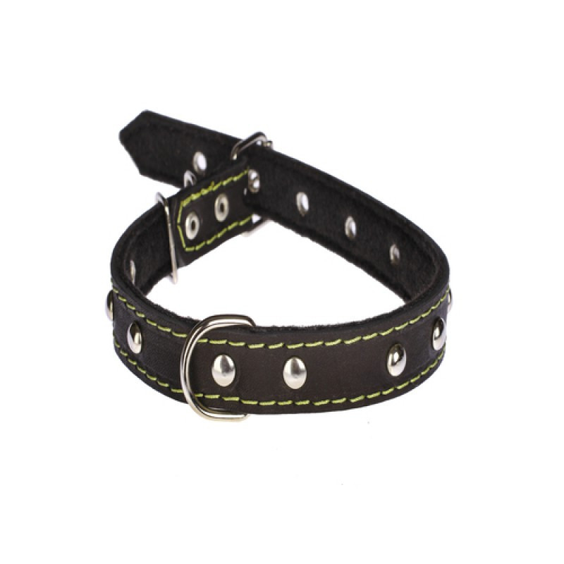Нашийник 215 20мм "Класик" шкіра + синтепон прикрашений Вінниця - фото 1