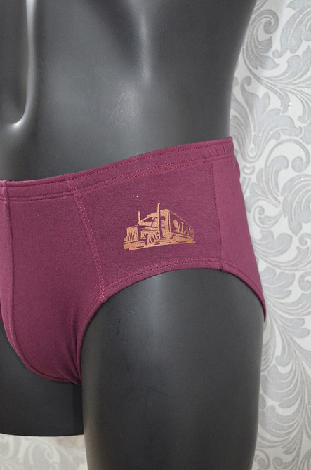 Труси чоловічі Класика Lans 02/024 XXL, Бордовий Київ - фото 2