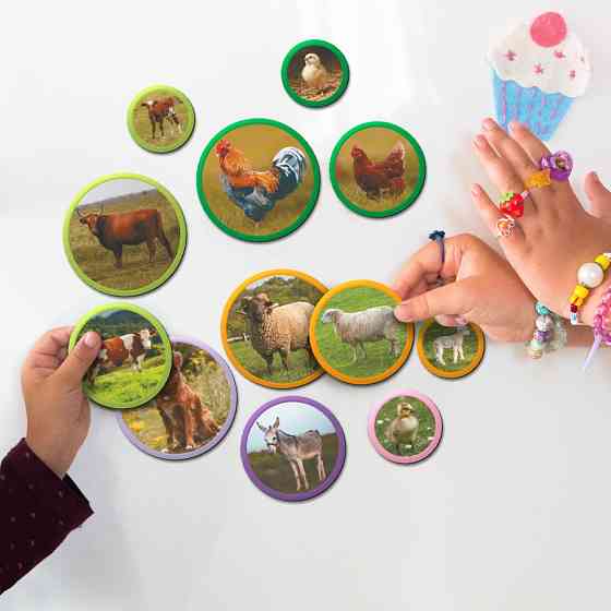 Детский магнитный набор Монтессори 