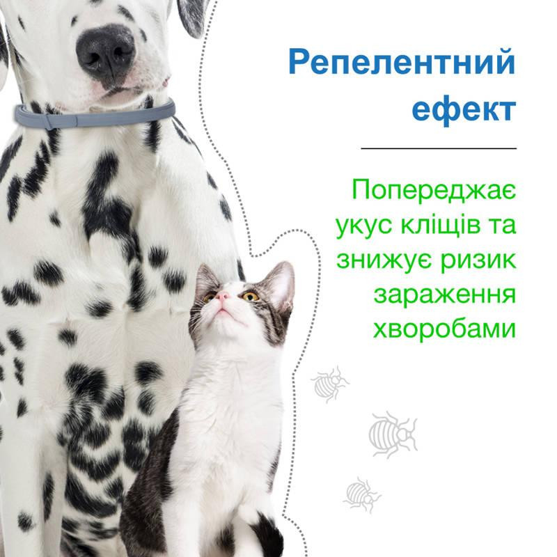 Foresto Bayer Animal (Форесто Байєр) нашийник 70 см від бліх і кліщів для собак і котів 8 кг Запоріжжя - фото 9