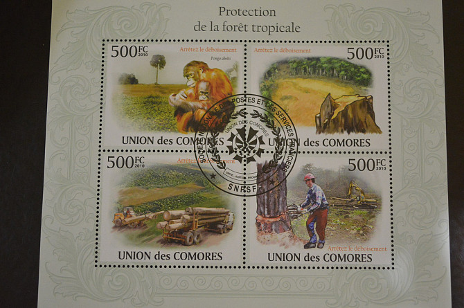 Коморы. Марки. Фауна. Блок. 2009 год (В-5) Полтава - изображение 1