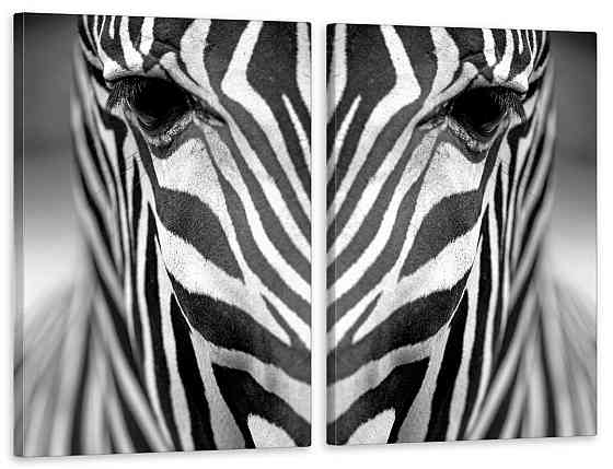 Модульная картина в гостиную / спальню  Зебра   TLV-2_032 Київ