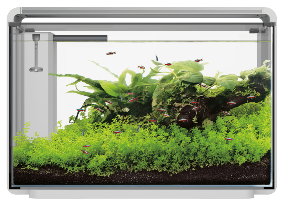 Акваріумний набір SuperFish Home ProLED 65 White (A4051630) Київ