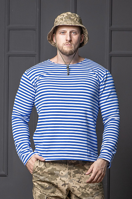 Чоловічий тільник з начосом і довгим рукавом в Блакитну смужку Київ - фото 1