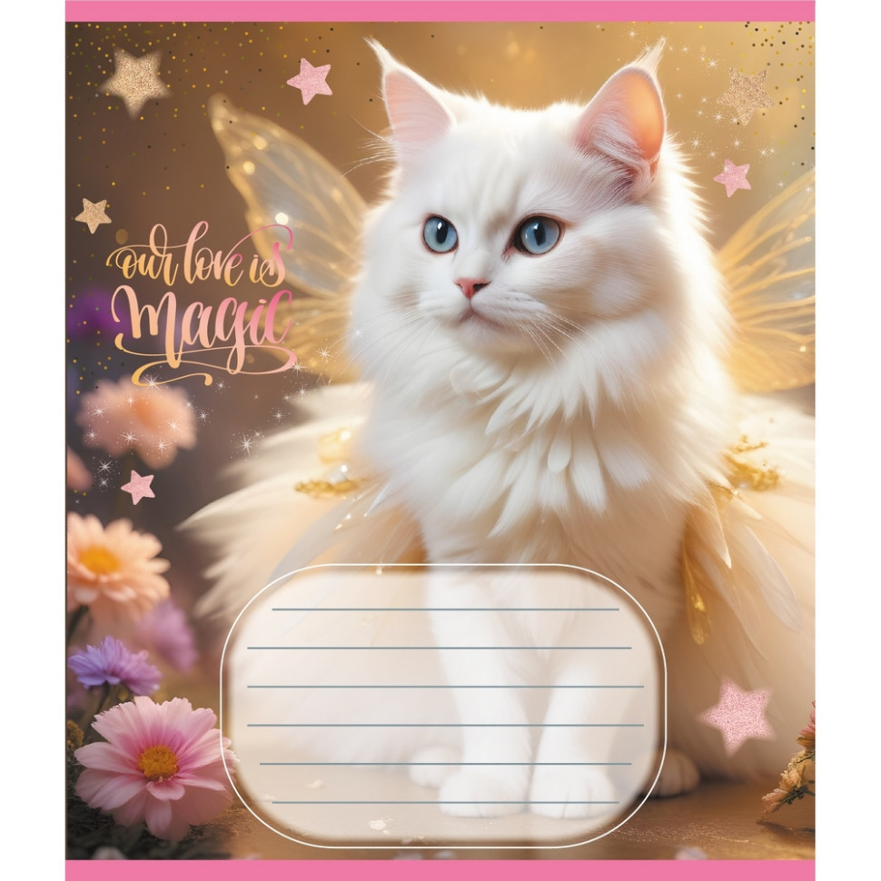 Зошит учнівський "Кішка фея" 024-560046L-3 в лінію, 24 аркуші Вінниця - фото 1