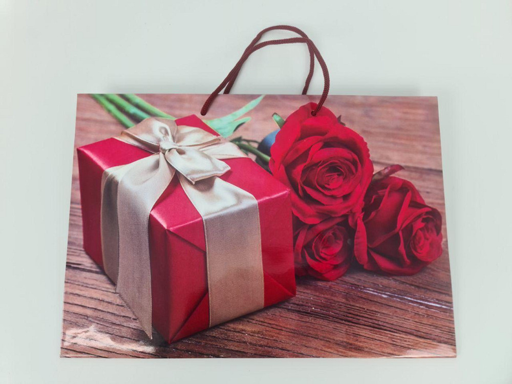 Бумажный большой горизонтальный пакет  36/22/10(артBG-136) (12 шт) Харьков - изображение 3