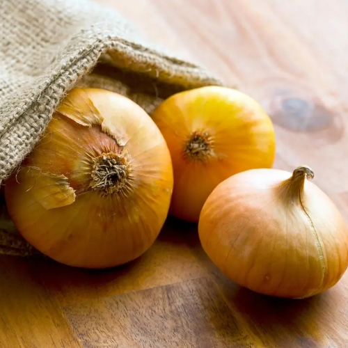 Цибуля Штудгард 2гр Смачний Житомир