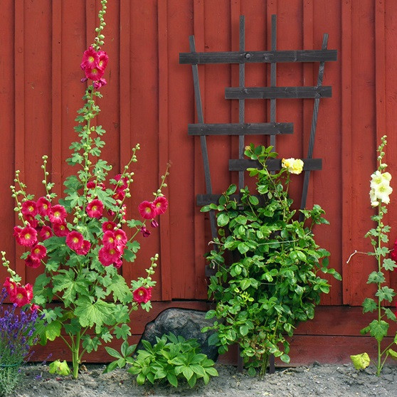 Опора для плетущихся 