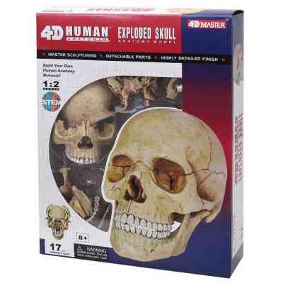 Пазл 4D Master Об&apos;ємна анатомічна модель Череп людини (FM-626111) Вінниця
