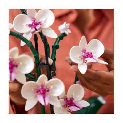 Конструктор LEGO Icons Орхідея (10311-) Вінниця