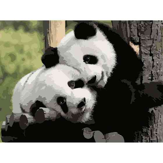 Картина за номерами "Щирі обійми" 504018-NC 40х50 см Вінниця