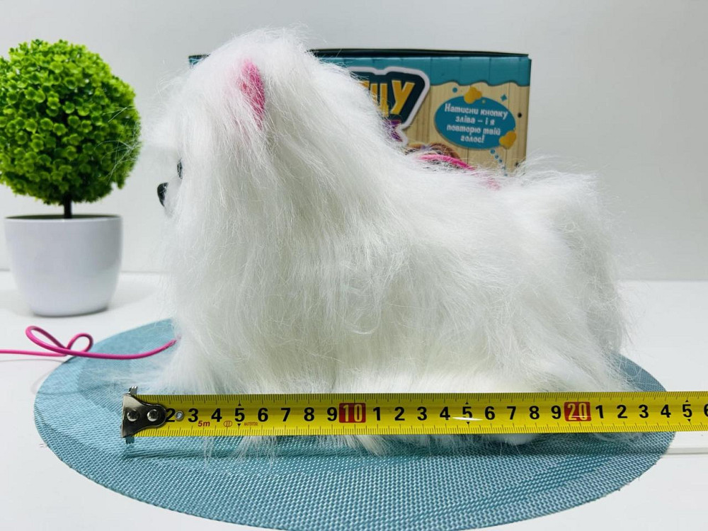 Собачка інтерактивна на пульту Ши-тцу з повідцем сенсорна музика та звуки українською гавкає Біла (M 6212 I UA) Чернигов - изображение 10