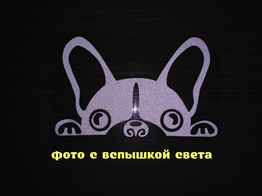 Наклейка на авто Собака Біла світловідбивна Київ - фото 2