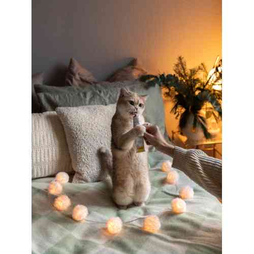 Вітаміни GimCat Expert Line Relax паста для котів для подалання стресу та тривожних станів 50 г Київ