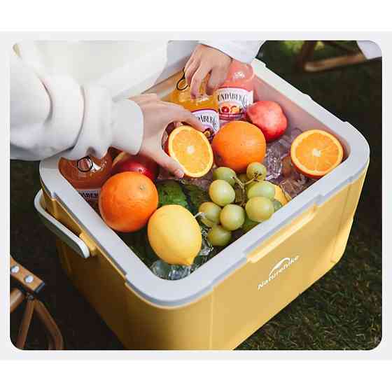 Туристичний холодильник Naturehike CNK2450CF012, 18 л, зелений Київ