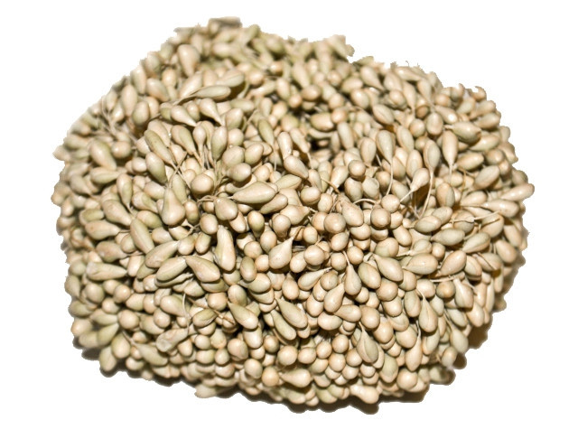 Заготовка для букетов и обручей Цветы Киев - изображение 1