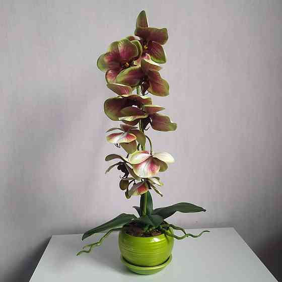 Штучна латексна орхідея VIP в салатовому керамічному кашпо на одну гілку салатово-рожева Дніпро
