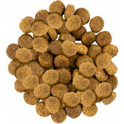 Сухой корм для собак Savory Medium Breed rich in Fresh Turkey and Lamb 3 кг (4820232630266) Винница