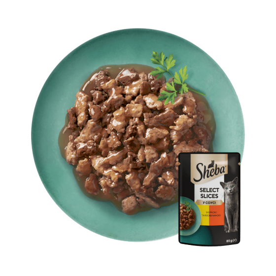 Влажный корм Sheba (Шеба) cig POU для взрослых кошек с курицей и говядиной в соусе 85 г Винница