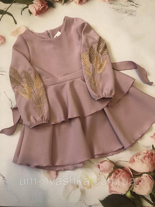 Дитяче плаття з вишивкою на рукавах Поділля-колоски Кривий Ріг - фото 1