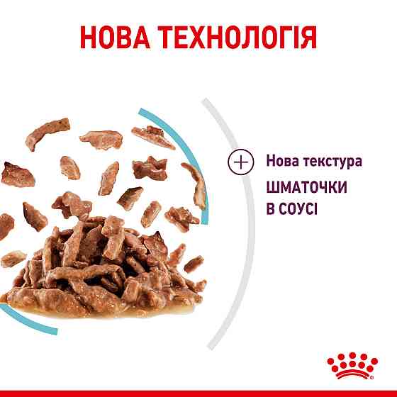 Вологий корм для дорослих котів ROYAL CANIN SENSORY FEEL GRAVY шматочки у соусі 85г, стимулює відчуття корму Київ