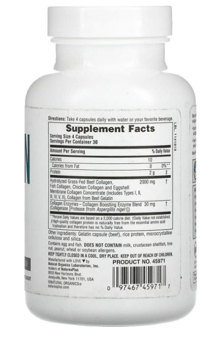 Коллагеновые пептиды (Collagen Peptides) 120 капсул Киев - изображение 2