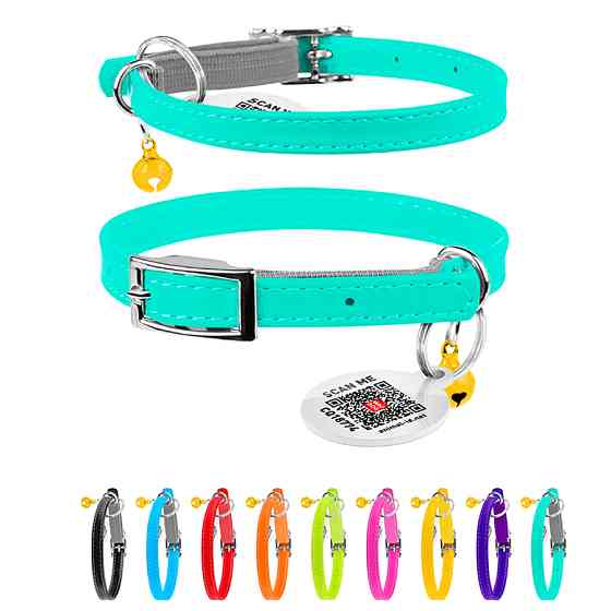 Нашийник для котів шкіряний WAUCAT Glamour з QR паспортом, без прикрас, XXS, Ш 9 мм, Дов 17-20 Коломия