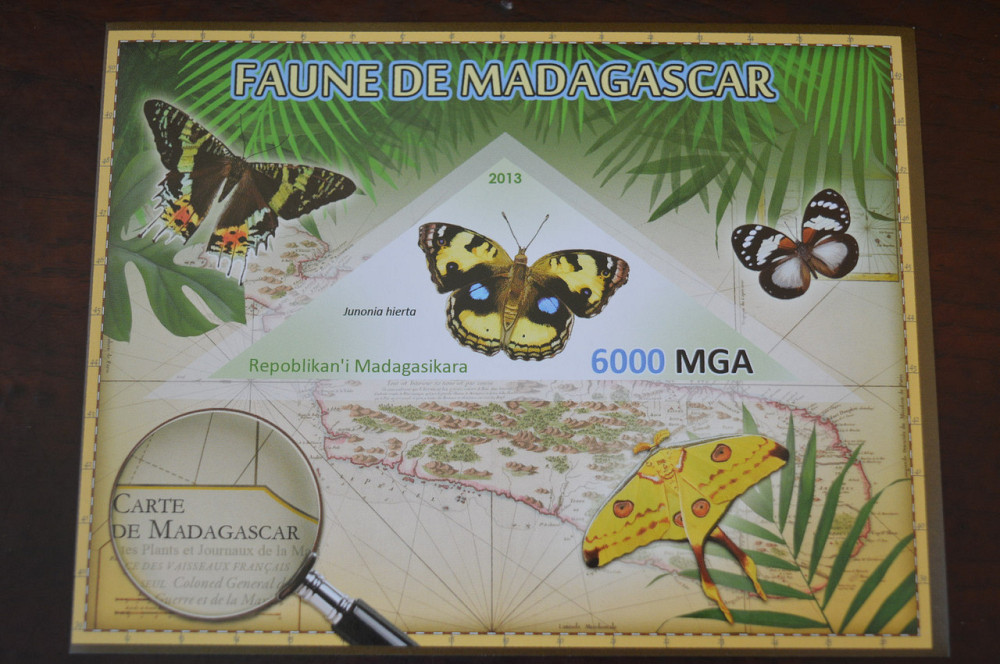 Мадагаскар. Фауна. Личности. Блок. 2014 р. (А-34) Полтава - фото 1