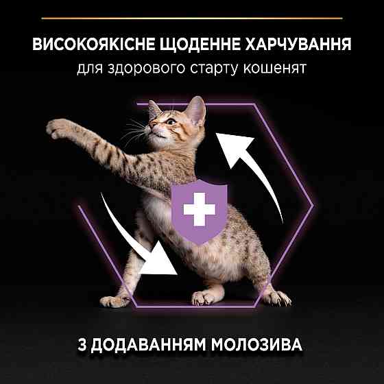 Сухой корм PRO PLAN Kitten  Киев