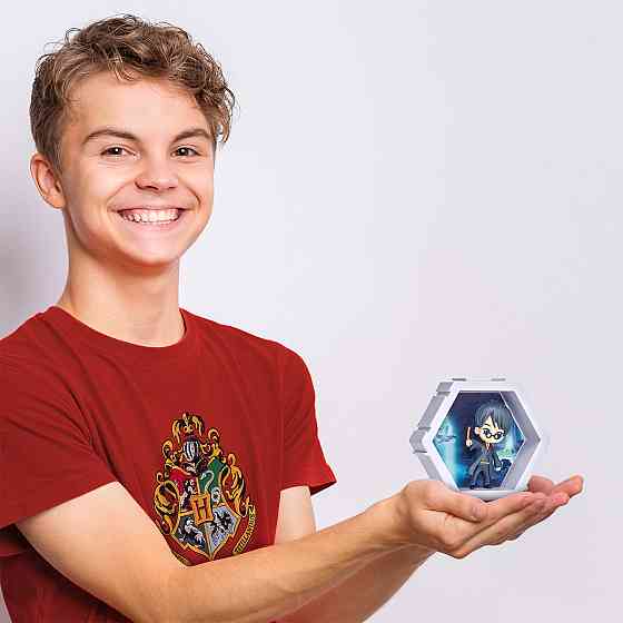 Колекційна фігурка WOW! PODS 4D - Гаррі Поттер Дніпро