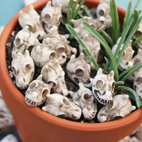 Набор «Черепа дракона» из смолы – 10 штук для декора Киев