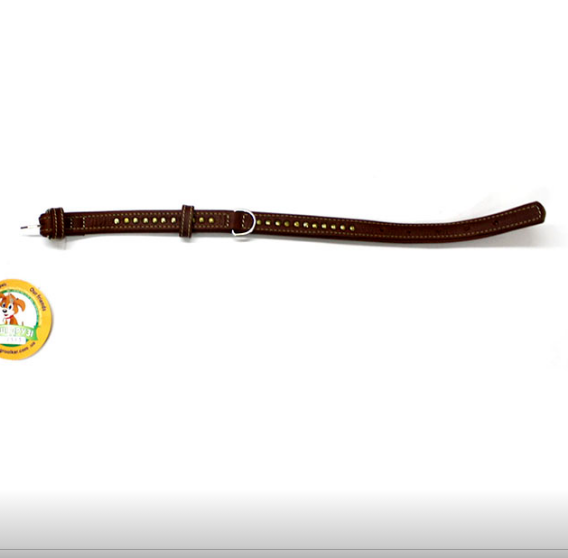 Нашийник 2311 20мм "Преміум" шкіра подвійний прикрашений металофурнітура (Коричневий) Вінниця - фото 1